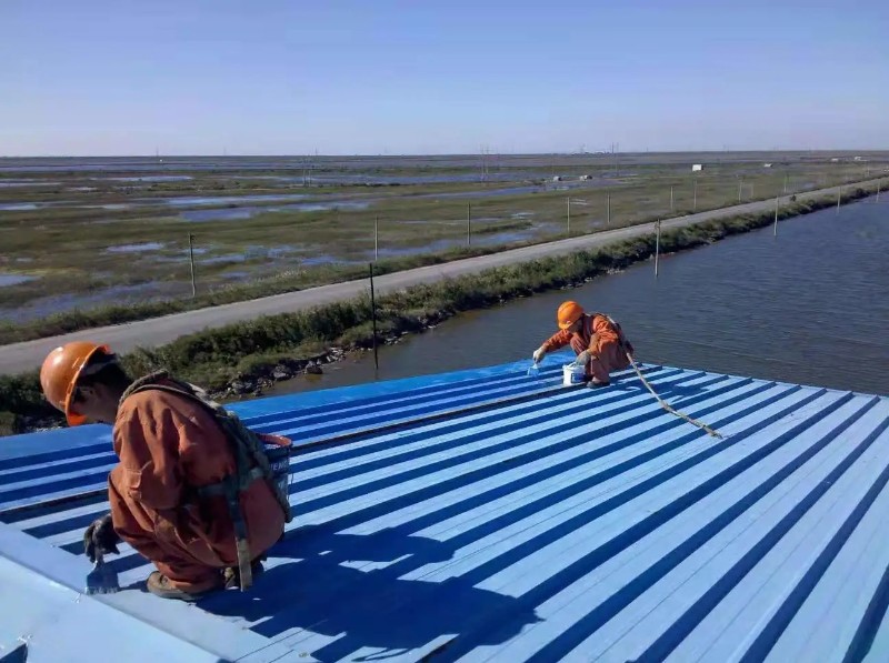 平桥钢结构屋面漏水原因